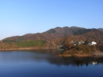 宮ヶ瀬湖畔の紅葉2.JPG