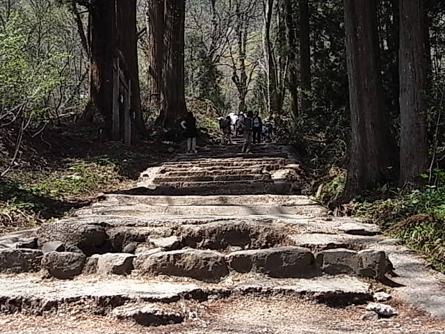 戸隠神社奥社まで登って九頭龍社とともに参拝してきました 格安国内旅行ツアー情報