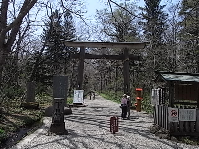 戸隠神社奥社参道の巨木杉並木でパワースポットを満喫 格安国内旅行ツアー情報