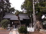 河津来宮神社境内.JPG
