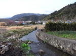 静岡県賀茂郡河津町田園風景.JPG